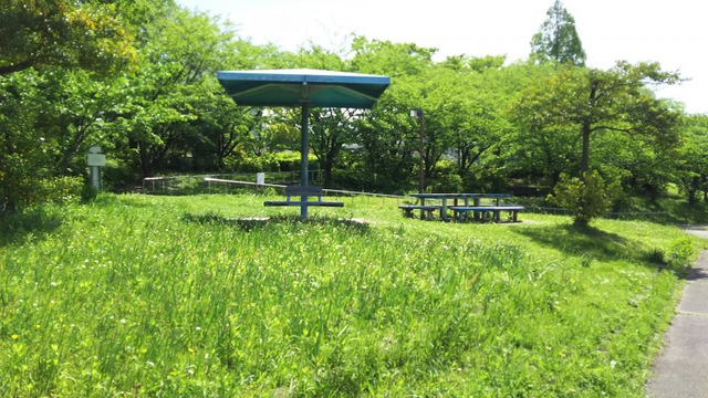 の画像