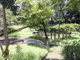 栗谷津公園の画像