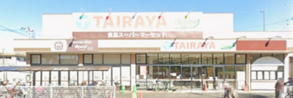 エコス TAIRAYA(タイラヤ) 川越霞ヶ関店の画像1