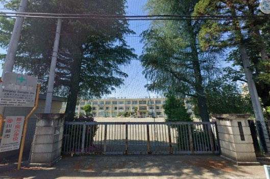 の画像