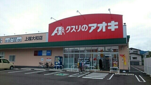 ドラッグストア クスリのアオキ 上越大和店