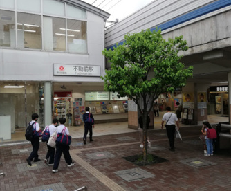 不動前の画像1