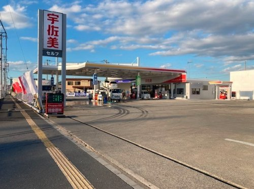 の画像