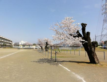 嵐山町立菅谷小学校の画像1