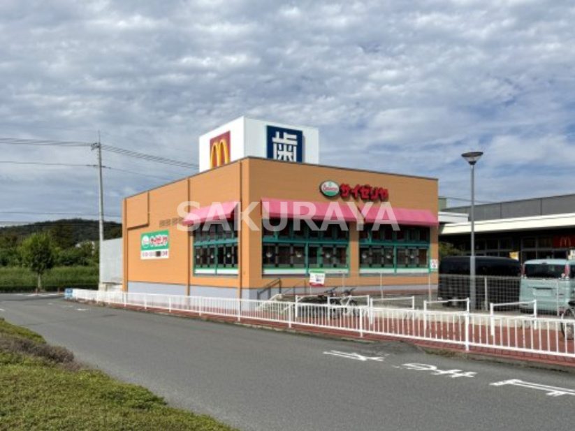 の画像