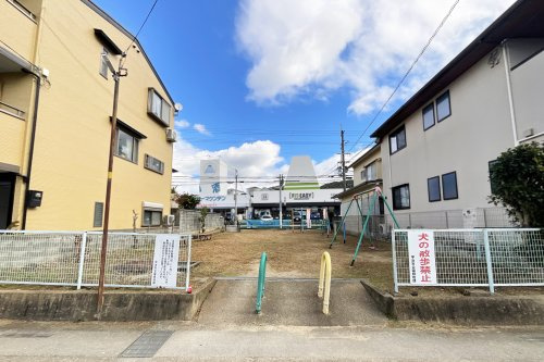 の画像