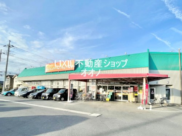 ココモケンゾーの画像1