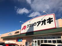 クスリのアオキ 上佐野店