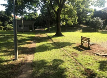 国主近隣公園の画像1