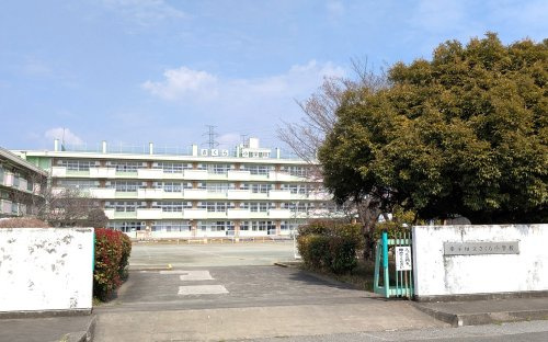 の画像