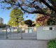 世田谷区立船橋小学校の画像