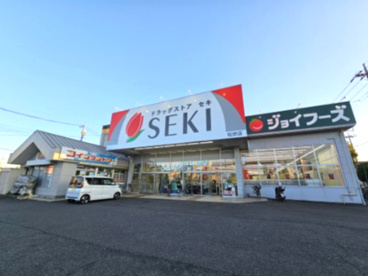 ドラッグストア セキ 松伏店の画像1