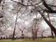 大宮公園の画像