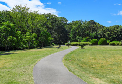 鈴鹿青少年の森 トリムコースの画像1