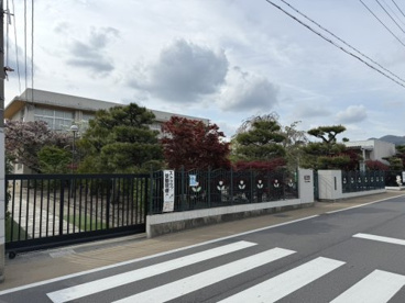 ときわ保育園の画像1