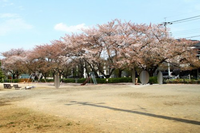 浅間台大公園の画像1