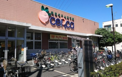 リブレ京成 セルカ高砂店の画像1