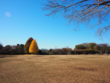 立野公園の画像1