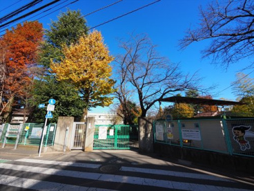杉並区立杉並第七小学校の画像1