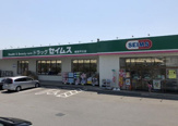 ドラッグセイムス 秦野戸川店