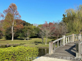 川口公園