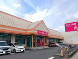 ザ・ダイソー DAISO 岩槻城南店