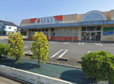 ドラッグストア セキ 花崎店