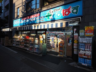 どらっぐぱぱす小石川1丁目店の画像1