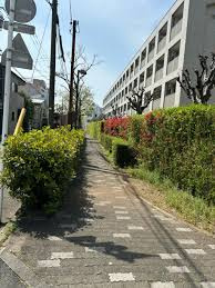 はなみずきのみち緑道の画像1