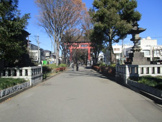 氷川神社参道