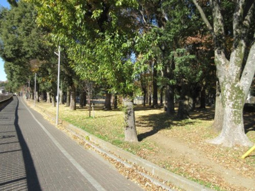 都立城北中央公園の画像1