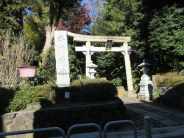 氷川神社の画像1