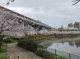 桃ヶ池公園の画像