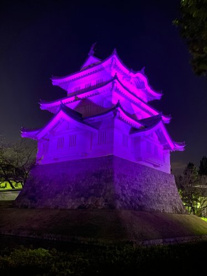 忍城址・御三階櫓の画像2