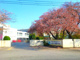 熊谷市立籠原小学校	の画像