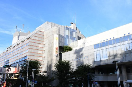 の画像