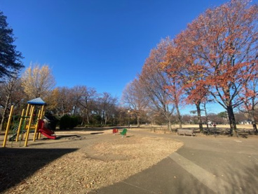 柏の宮公園の画像1