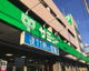 サミットストア 菊名店の画像