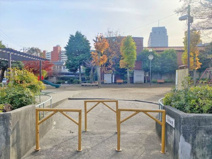 公園 八幡公園