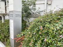 中目黒駅前街かど公園