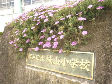 坂戸市立 城山小学校の画像3