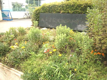 坂戸市立 北坂戸小学校の画像3