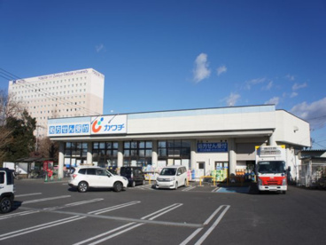 カワチ薬品 おもちゃのまち店の画像1