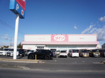 ダイソー フレスポおもちゃのまち店
