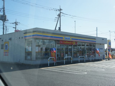 ミニストップ 壬生おもちゃのまち店の画像1
