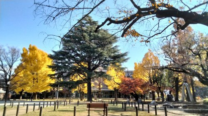 板橋区平和公園の画像1