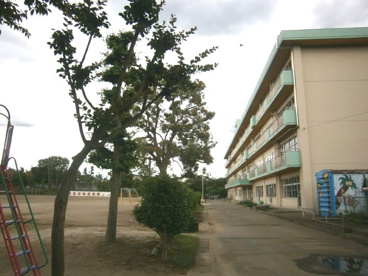 坂戸市立 上谷小学校の画像2