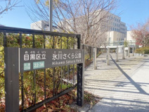氷川さくら公園