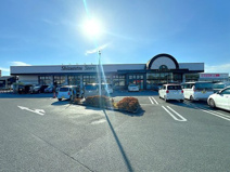しずてつストア 島田店