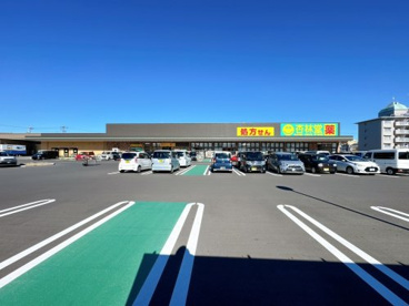 杏林堂ドラッグストア 島田駅南店の画像1